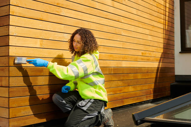 Best Siding Replacement  in Norwood, NJ